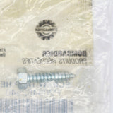 Sea-Doo Tapping Hex Screw PN 209462540