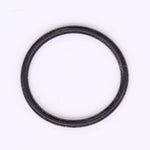 Polaris O-Ring PN 3086260