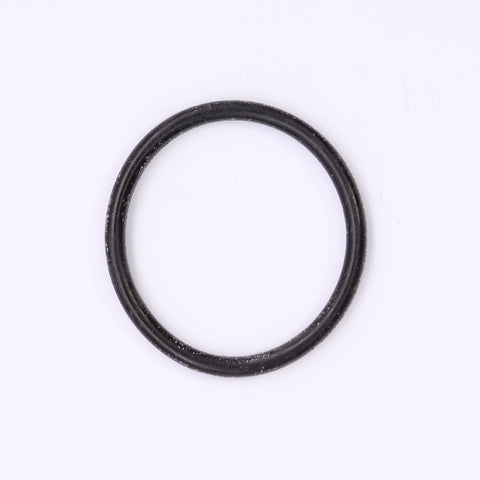Polaris O-Ring PN 3086260