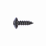 Polaris Screw PN 0450676