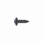 Polaris Screw PN 0450676