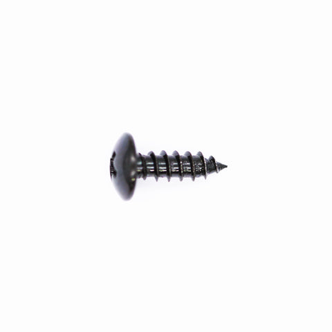 Polaris Screw PN 0450676