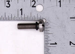 OMC Screw PN 308211