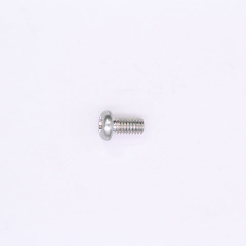 Polaris Screw (Silver) PN 3130591