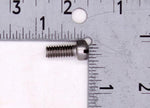 OMC Screw PN 306461
