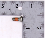 Kawasaki Screw   PN 09120-06011