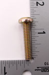 Polaris Screw   PN 7515186
