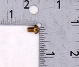 OMC Screw (Pack of 3) PN 306559