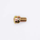 Polaris Screw and Washer (Gold) PN 3084205