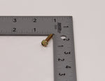 Polaris Screw PN 7511930