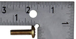 OMC Screw (Pack of 2) PN 319125
