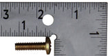 OMC Screw (Pack of 2) PN 319125