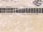 Genuine Harley-Davidson Tube, Tank to Valve Part Number - 63591-92