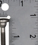 OMC Lower Motor Screw PN 309817