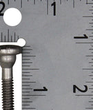 OMC Lower Motor Screw PN 309817