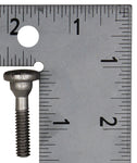 OMC Lower Motor Screw PN 309817