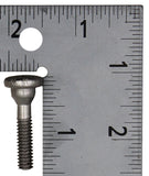 OMC Lower Motor Screw PN 309817