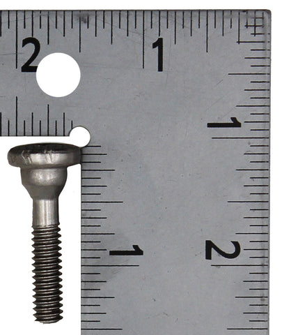 OMC Lower Motor Screw PN 309817