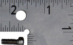 OMC Screw PN 304012