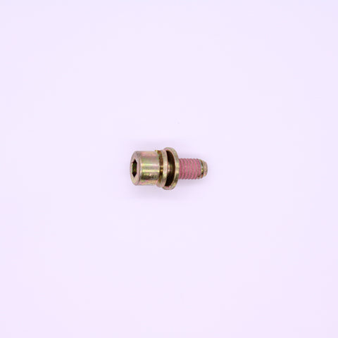 Polaris Screw PN 7517957