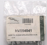 Jaguar Nut Locking   PN NV604041