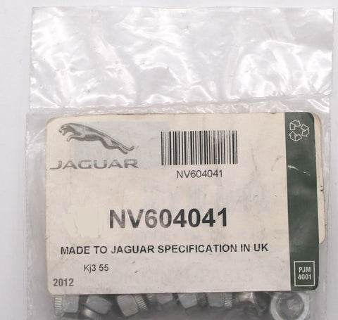 Jaguar Nut Locking   PN NV604041