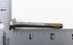 Polaris Screw PN 7517676