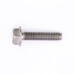 Sea-Doo Screw PN 420841543
