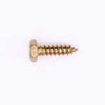 Polaris Screw PN 7512009