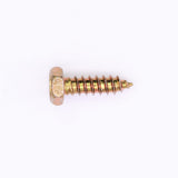 Polaris Screw PN 7512009