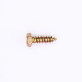 Polaris Screw PN 7512009