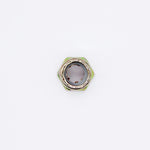 Polaris, Nut PN 7546601
