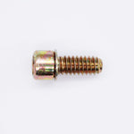 Polaris Screw PN 7515136