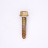Polaris Screw PN 7517219
