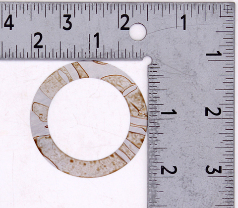 OMC Shim PN 313196
