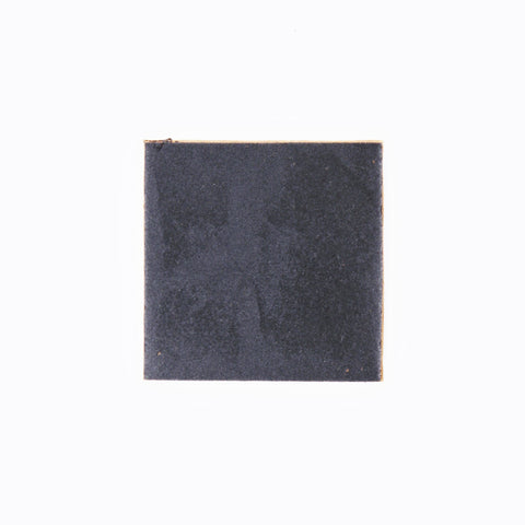 Polaris Pad PN 5813593