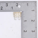 Triumph Fuse Blade PN 201210EA
