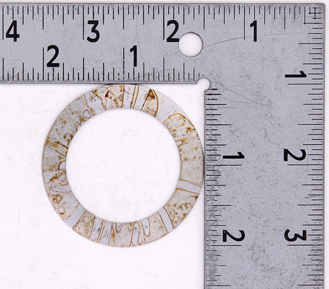 OMC Shim PN 313195