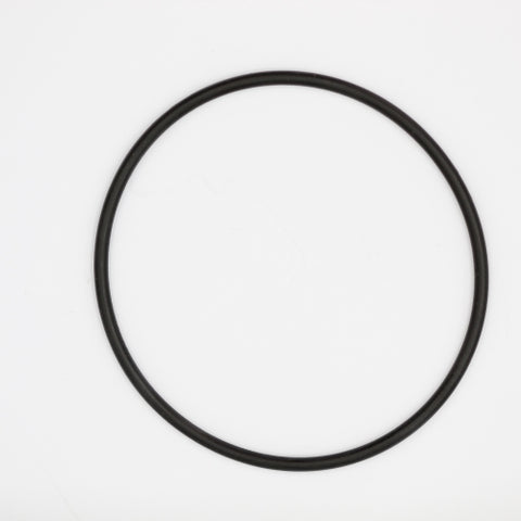OMC O-Ring PN 338518