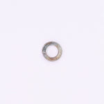 Kawasaki Spring Washer PN 461E0400