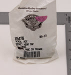 Harley-Davidson Hex Screw, Socket Head Cap Part Number - 2647B (Pack Of 2)