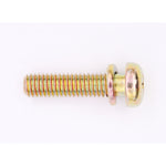 Polaris Screw & Washer PN 3083774