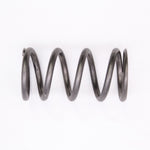 Clutch Spring (Titanium) Part Number - 0646-379 For Arctic Cat