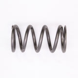 Clutch Spring (Titanium) Part Number - 0646-379 For Arctic Cat