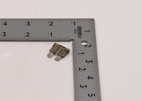 Harley-Davidson 1 Amp Fuse PN 72300-89 (Pack of 2)