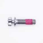 Triumph Shear Bolt - M6X1.0X20 PN T3330324