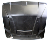 Polaris Sport Roof Top (Used) PN 2881103