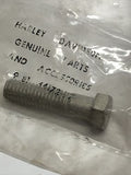 Harley-Davidson Screw PN 44172-77
