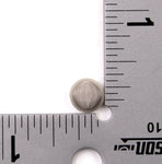 Polaris Screen Fuel Strainer PN 3050144