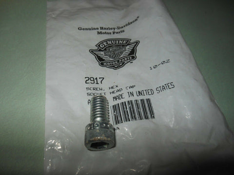 Harley-Davidson Hex Socket Head Cap Screw Part Number - 2917 (Pack of 2)